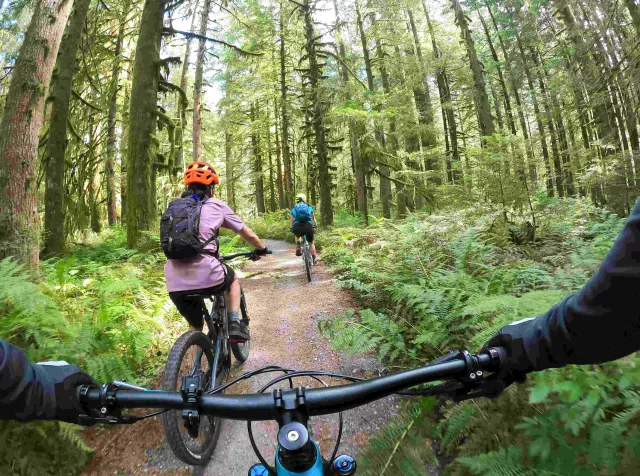 Peoples riding bikes in the forest